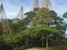 金沢兼六園