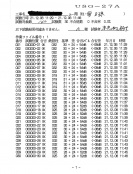 超音波探傷検査記録表